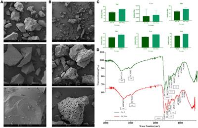 A new iron supplement: The chelate of pig skin collagen peptide and Fe2+ can treat iron-deficiency anemia by modulating intestinal flora